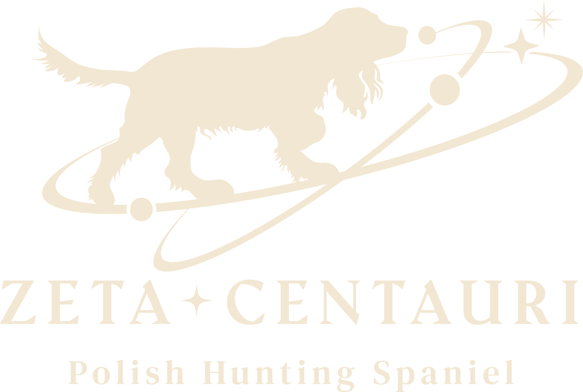 Zeta Centauri