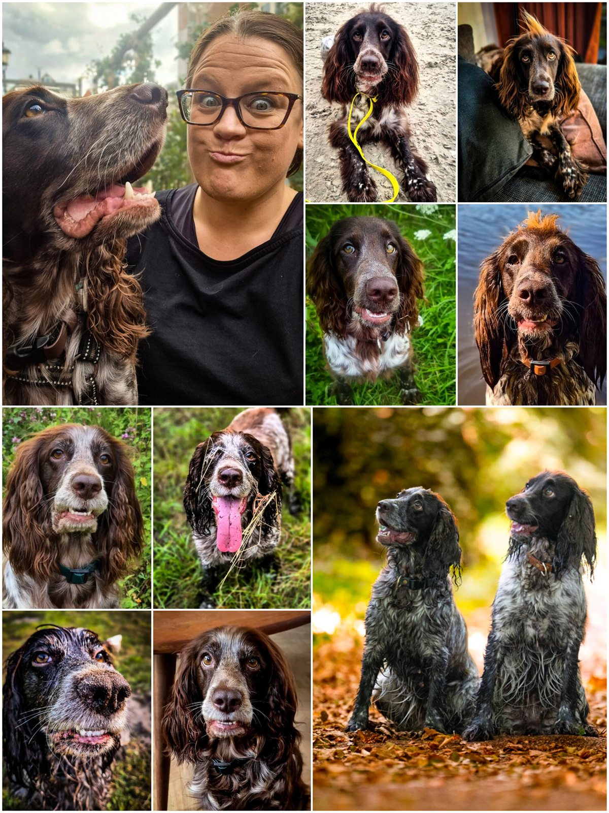A joyful collage of Elina and the dogs — muddy grins, silly faces and happy autumn walks