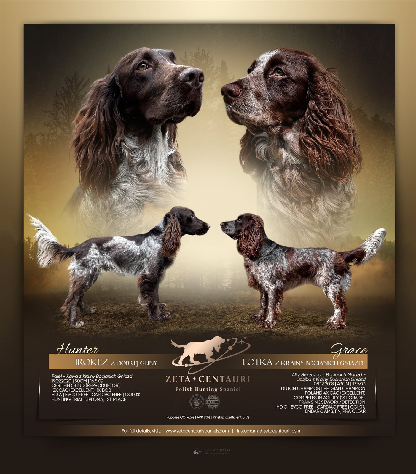 Litter A poster — the parents Hunter (Irokez z Dobrej Gliny) and Grace (Lotka z Krainy Bocianich Gniazd), with pedigree and health details
