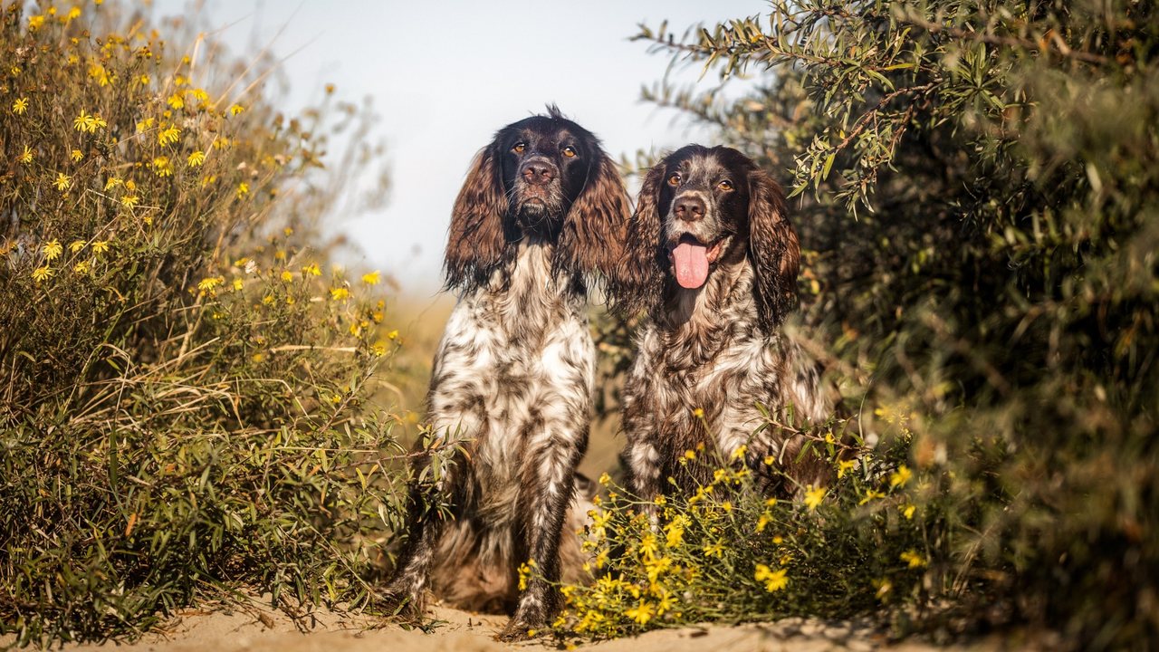 Grace and Astra together