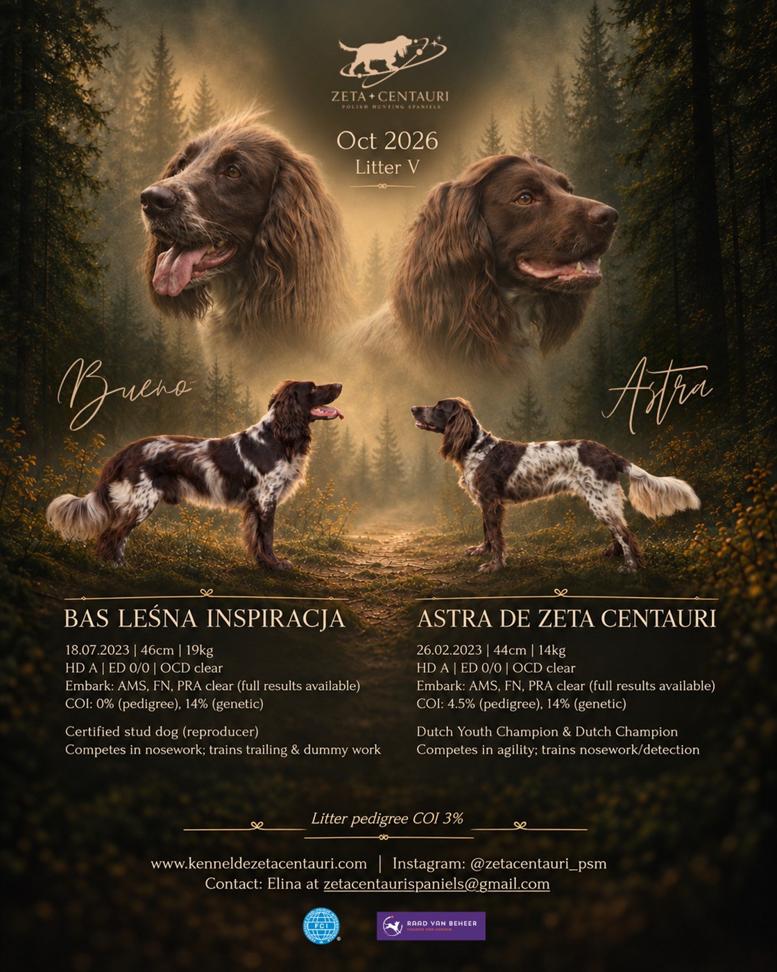 Litter V announcement — Bueno and Astra, expected October 2026, with both dogs' health and genetic details